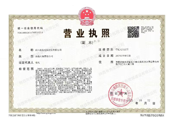 喜報！陜西有色駝城建設(shè)有限公司正式成立